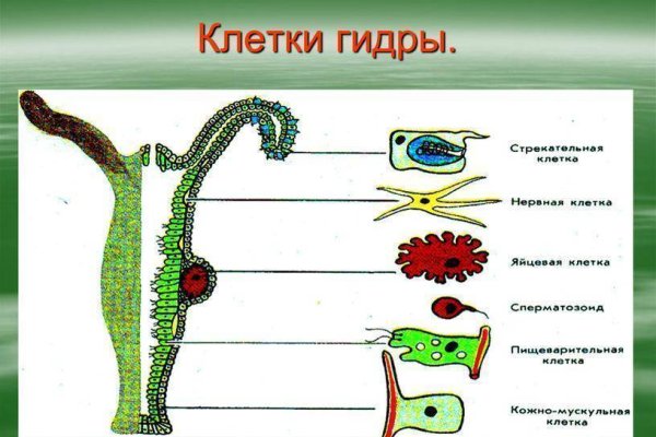 Ссылка на кракен онион