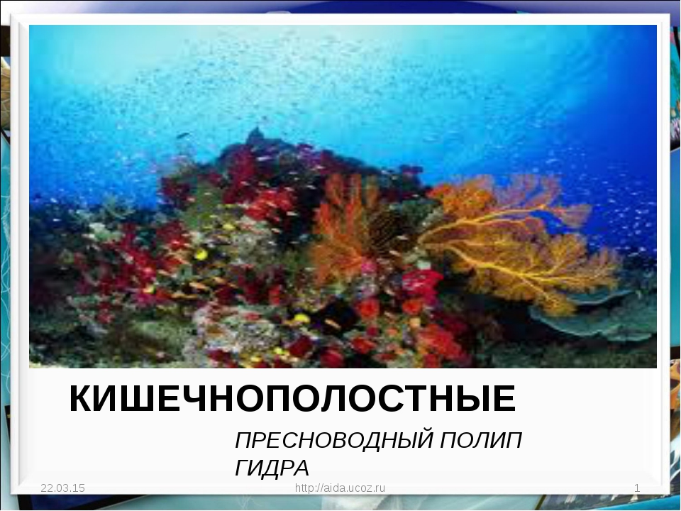 Кракен впн